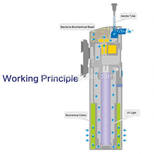 Gute Qualität Fashion Design DC-Motor Wasserpumpe